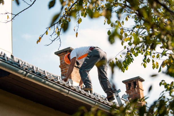 Best Storm Damage Roof Repair  in Terra Bella, CA