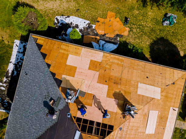 Professional Roofing Contractor in Terra Bella, CA